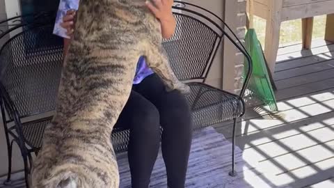 Doggy Missed His Momma