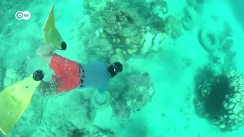 Por qué son importantes los corales para la vida humana