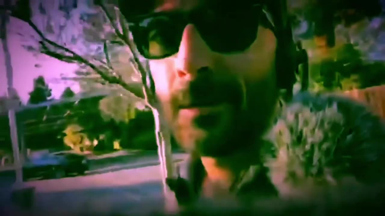 Compilation of Random Eli Cringe Clips 3