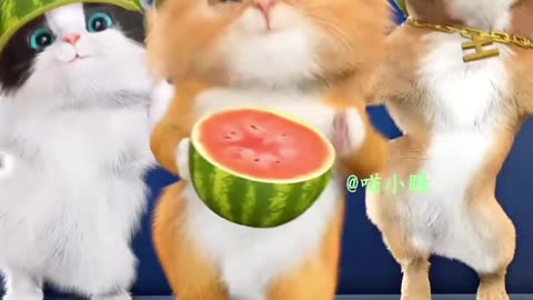 Cats funny dance 😁😜🤣. #cats #funny