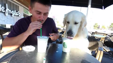 My Funny Dog and I Eat Starbucks Ice Cream