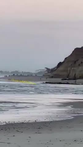 Illegal migrants landed on a California beach Wednesday morning