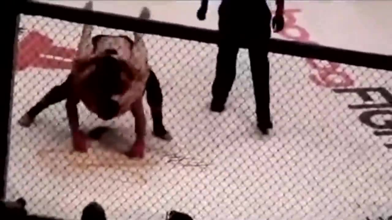 Cung Le The Rising MMA Legend