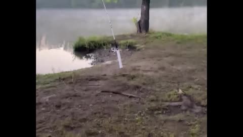 Kite Flying and Fishing