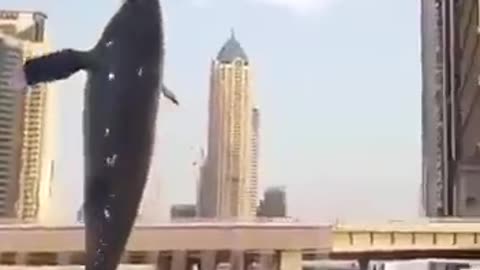 This Is How CGI Works-Can Make You Believe Anything