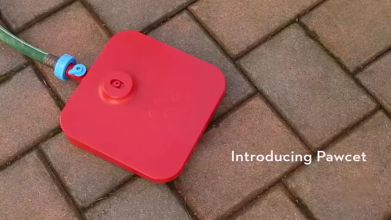 Most Useful gadgets For Dog everyone should buy thi