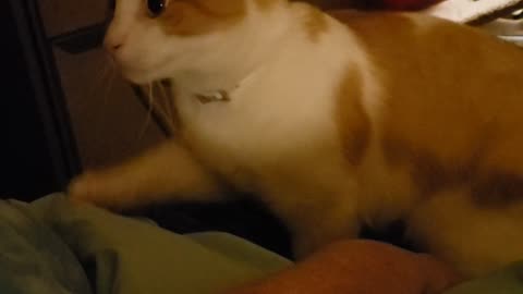 Sleepy sleep time or?