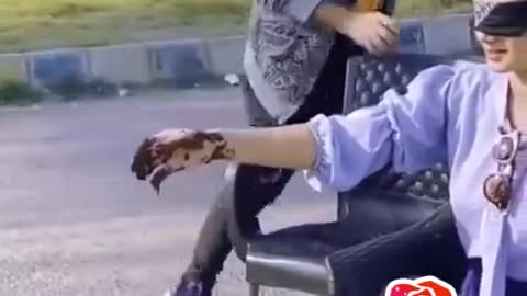 funny entertainment