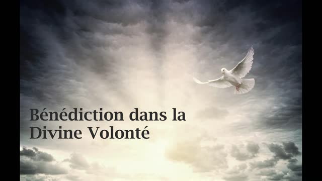 Bénédiction dans la Divine Volonté