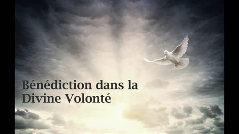 Bénédiction dans la Divine Volonté