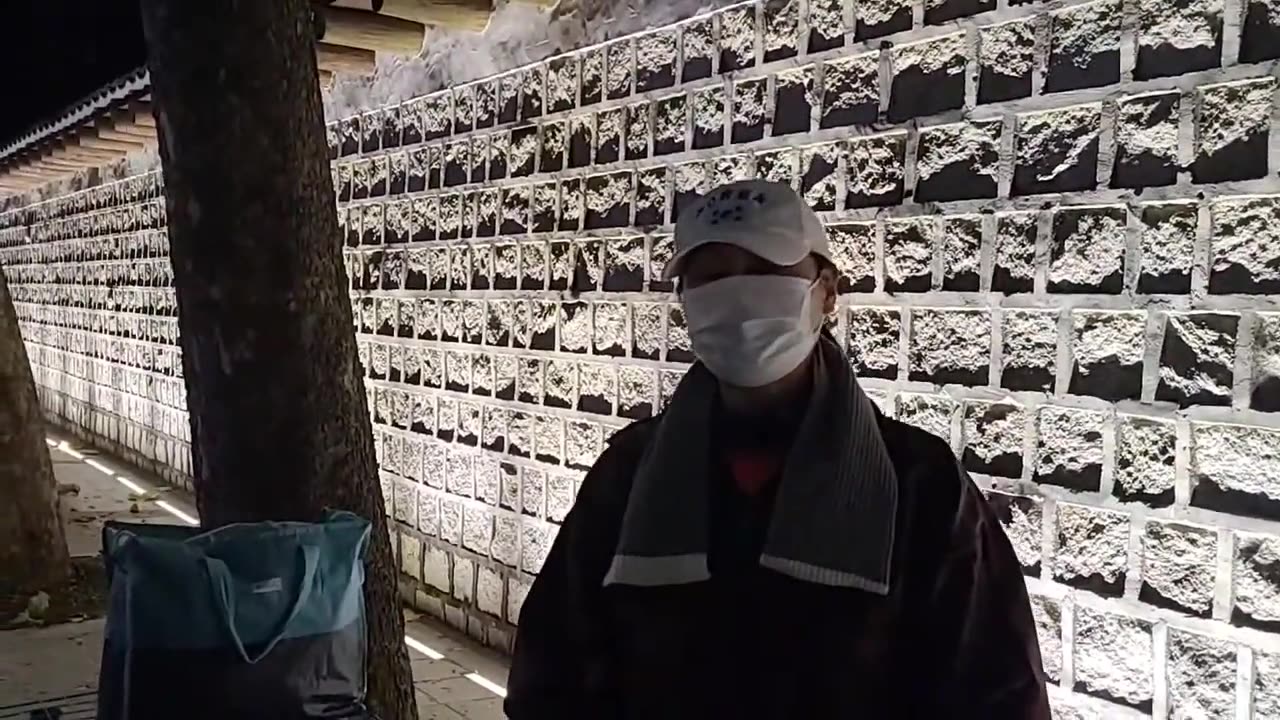 20201028_V3_S01(Vqf7TlECm-k)코로나 핑계로 태극기도 맘대로 못팔게 하고 이동하지 못하게 하여 갖히기도 하고