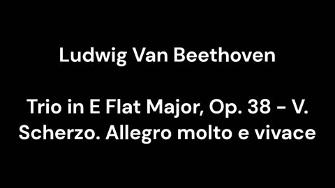 Trio in E Flat Major, Op. 38 - V. Scherzo. Allegro molto e vivace