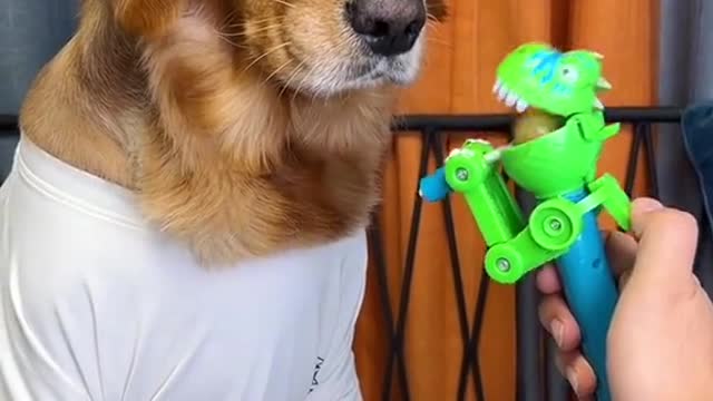 play with the material attack stream