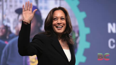 United Auto Workers union endorses Kamala Harris for president