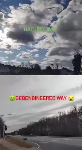 What’s Real & What Isn’t? | I know you see it too