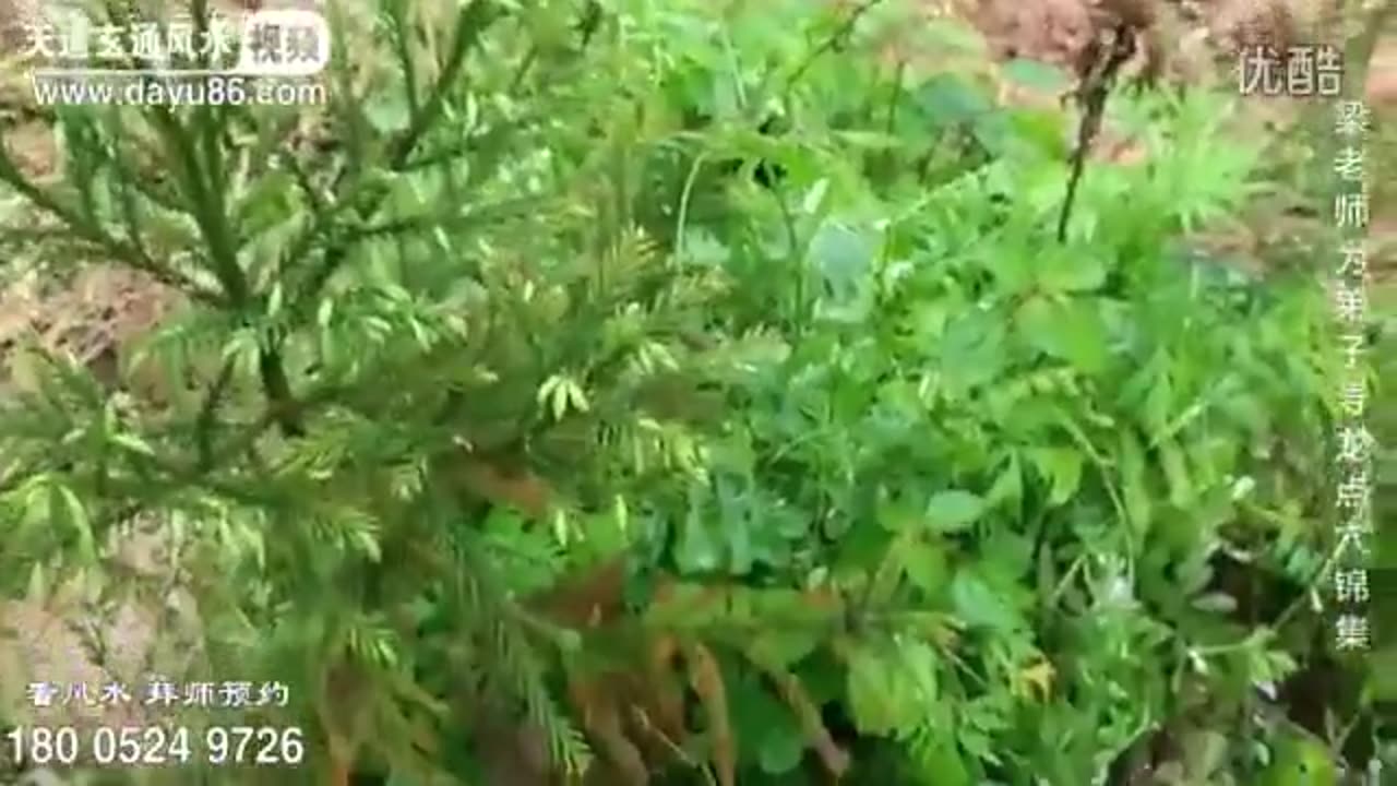FENG SHUI 03