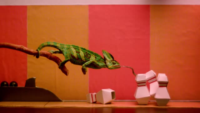 Chameleon Bowling