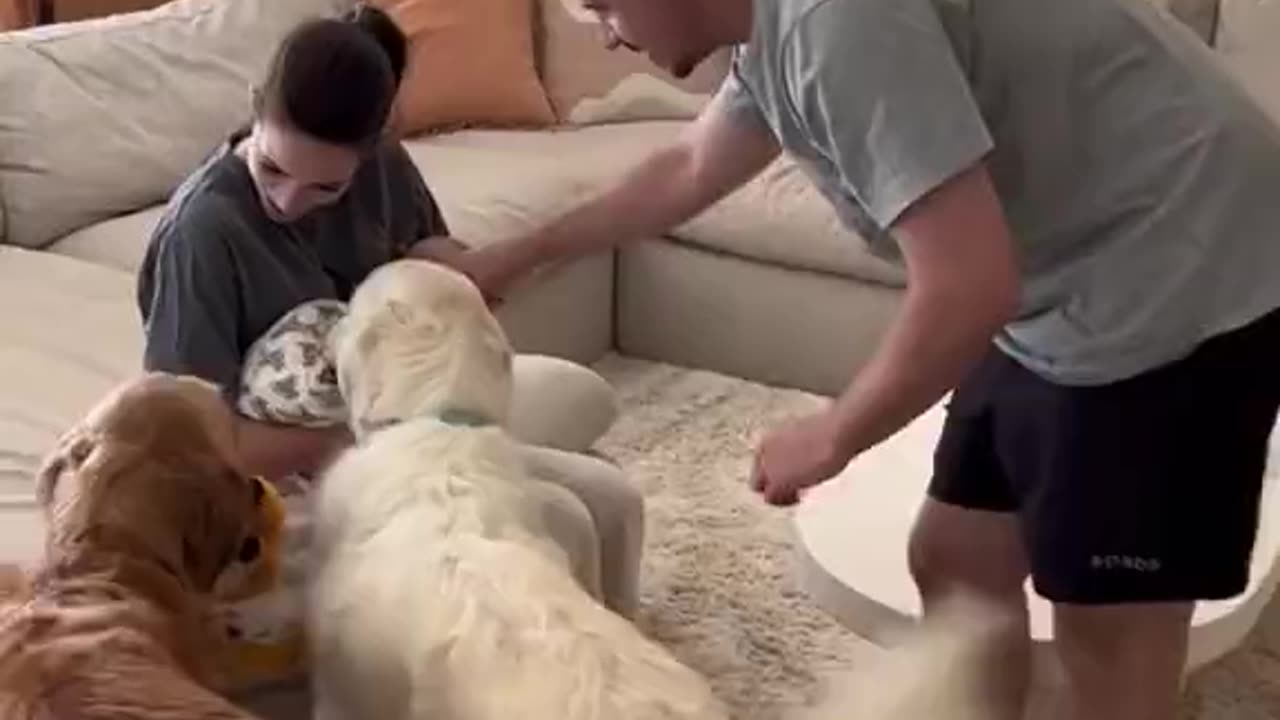 PRICELESS | WATCH HOW THE DOGS REACT TO THE NEW BORN BABY