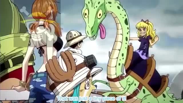 One Piece Funny Moments