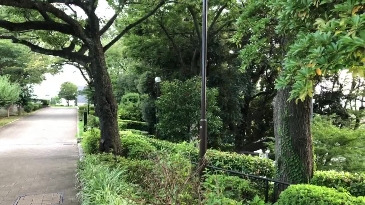 Mount Fuji as seen from the park