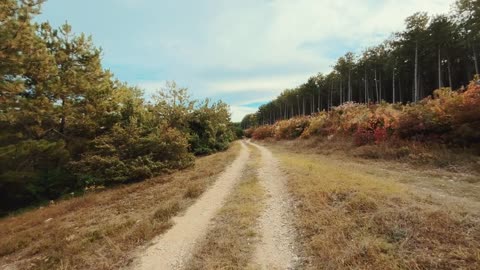 Road-Walk