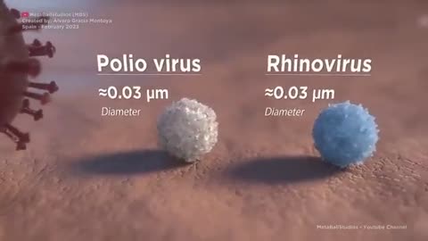 Escala Comparativa Microscópica de Células, Bacterias y Viruses