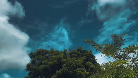 Nature view