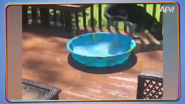 Try Not To Laugh Challenge! 😂 Funniest Fails of the Week | Live AFV