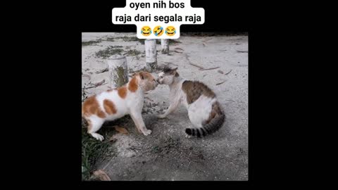 where oyen's reign was disturbed