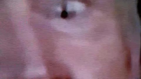 22. PHOEBE EXPERIENCE WITH REPTILIAN EYES