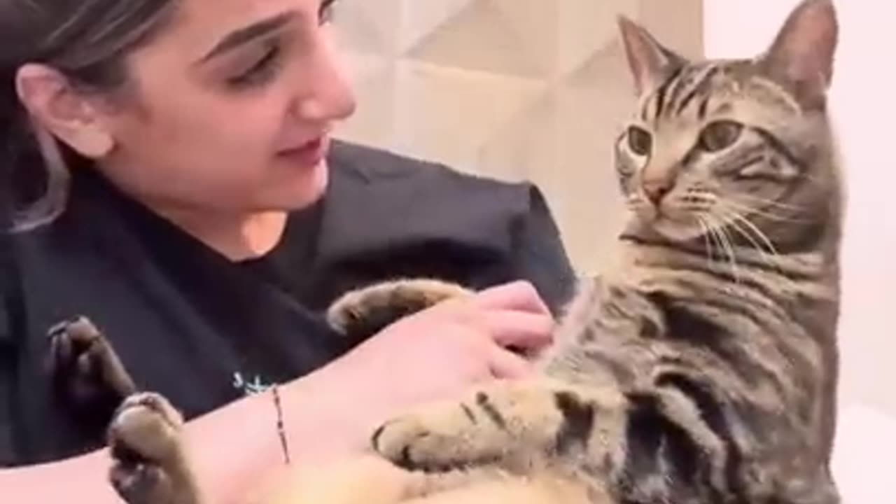 funny pet