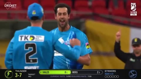 Cricket batting shattered in minutes