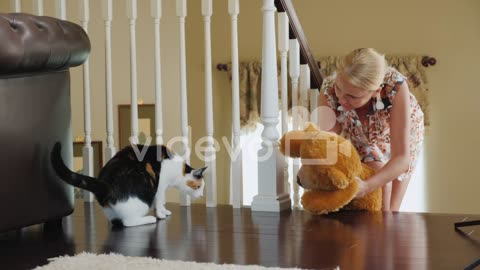 A woman plays with a cat shows a cat a teddy bear.