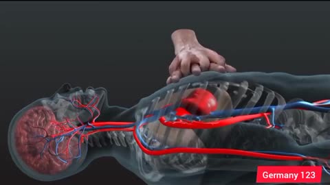 CPR in action.3D look inside body