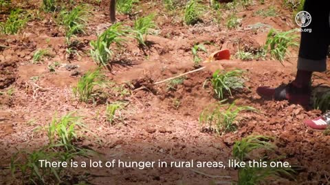 Anticipatory Action is Helping Rural Families to Overcome Drought in Somalia