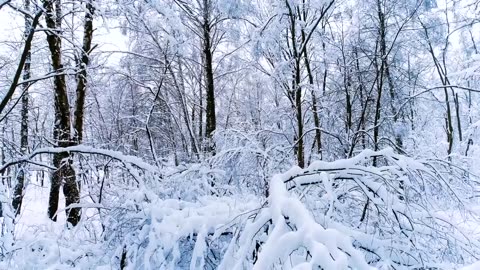 -71°C IN YAKUTIA_ CAMPING IN THE HEART OF SIBERIA