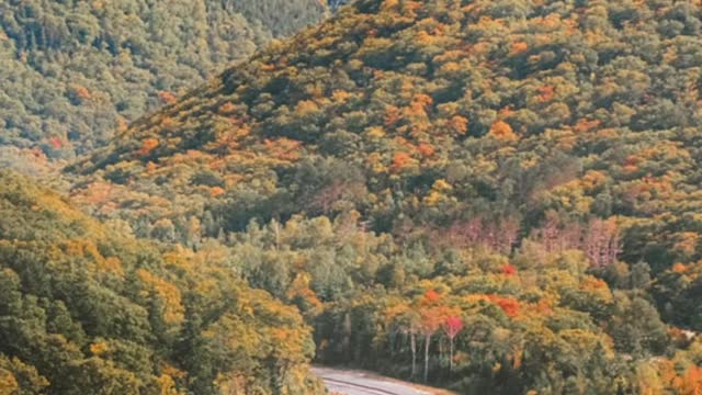 capturing the fall foliage on film