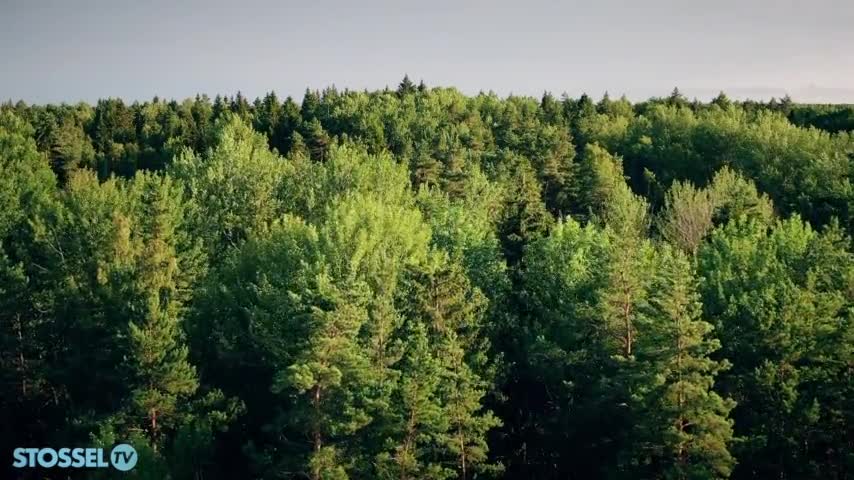 The Scaremongers Are Wrong