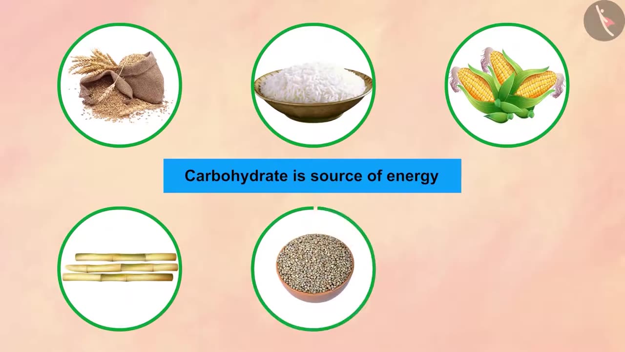 Components Of Food | Part 1/2 | English | Class 6