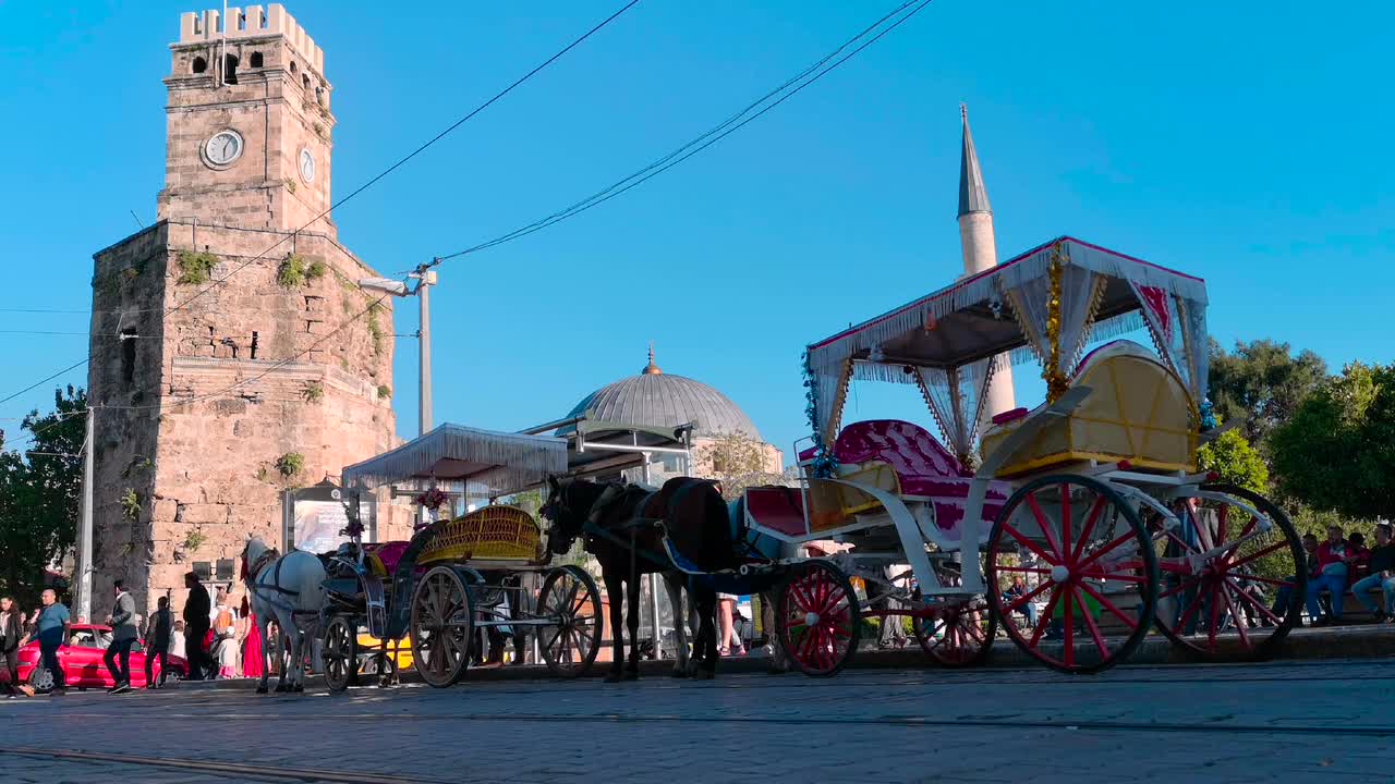 Horse Animal Phaeton People Human City Turkey