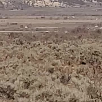 Deer point therbot cannon at me