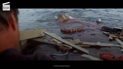 Jaws:Brody kills the shark