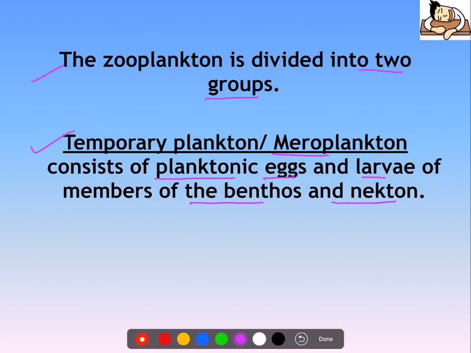 Environment and Ecology Lecture 9.1 - Marine Organisms