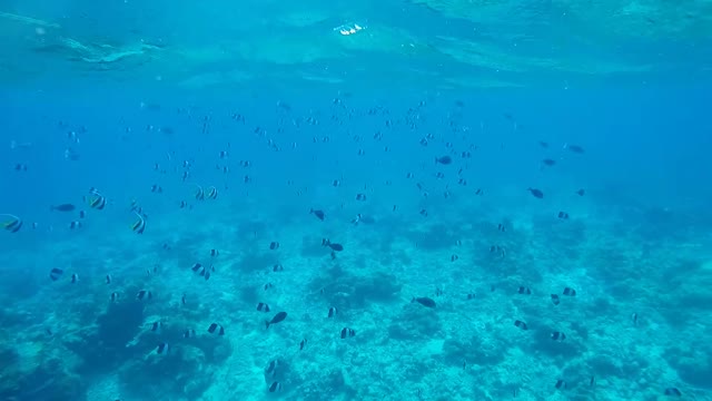 Maldives 3