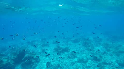 Maldives 3