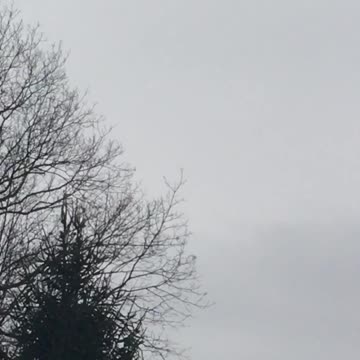 A lot of military activity going on