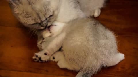 Love each Other