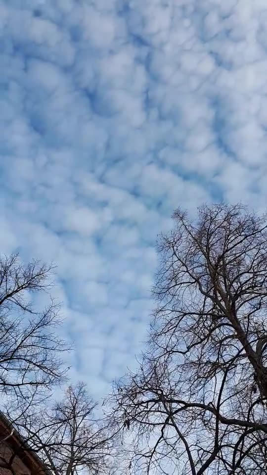 Himmel in Berlin am 26.11.2023 um 13:56 Uhr