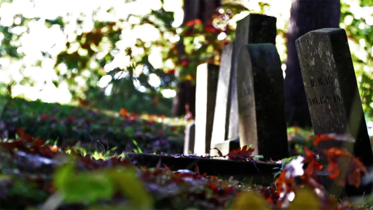 Fall Cemetery (Free to Use HD Stock Video Footage)