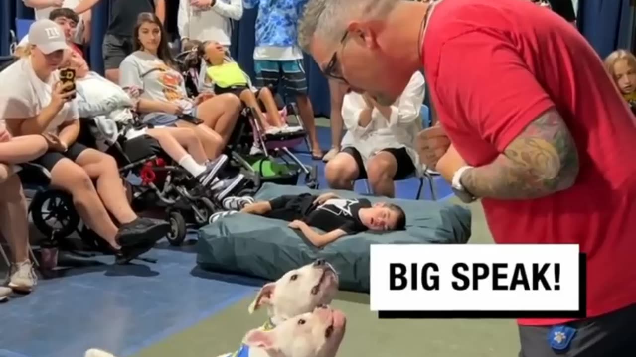 Deaf Dogs Understand Sign Language